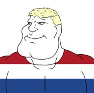 dutch muscular_male netherlands subvariant:mexiaryan // 886x872 // 3.0MB