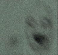 blur creepy open_mouth poopson variant:poopson // 402x383 // 373.7KB