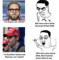 dna italy jews jonah_hill latinx mexico nick_fuentes spics subvariant:chudjak_seething swastika variant:chudjak white_skin // 1124x1127 // 544.9KB