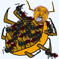 ant antennae baby bug crying deformed glasses multiple_soyjaks stubble subvariant:nathaniel subvariant:wholesome_soyjak tongue tranny variant:bernd variant:gapejak // 443x436 // 134.5KB