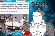 a10_eyes armband buff immigration muscular_male nigger shark subvariant:muscular_chud total_nigger_death variant:chudjak variant:impish_soyak_ears water // 2492x1652 // 1.4MB