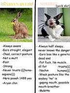 1488 a10_eyes animal comparison fat glasses hare holding_object human irl irl_soy mammal mulatto open_mouth rabbit sleep soy soyboy soylent soylent_(original) soylent_bottle stubble text trend:aryan wall_of_text // 899x1200 // 711.5KB