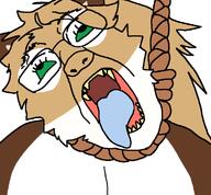 ack averi furfag furry green_sclera hanging open_mouth rope subvariant:trannyfur variant:bernd // 760x704 // 59.5KB