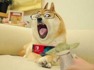 animal baby_yoda dog doge ear glasses hand irl nintendo nintendo_switch open_mouth pointy_ears sharp_teeth star_wars teeth tongue variant:gapejak video_game // 680x507 // 31.7KB