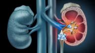 2soyjaks dhrystone gem kidney kidney_stone stone subvariant:wholesome_soyjak swedish_win variant:gapejak variant:impish // 4400x2475 // 5.7MB