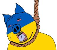 animal bloodshot_eyes country crying ear flag hanging oink open_mouth pig rope soyjak stubble subvariant:massjak subvariant:wholesome_soyjak suicide tongue tranny ukraine variant:gapejak yellow_teeth // 806x696 // 140.5KB