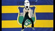 flag gaa gangnam_style hurling ireland song tipperary variant:cobson // 852x480, 143s // 39.2MB