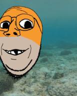 animal deformed fish glasses irl_background orange_skin sea smile soyjak stubble subvariant:emmanuel subvariant:wholesome_soyjak variant:gapejak water // 720x900 // 455.4KB
