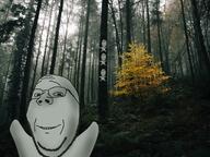 4soyjaks arm forest full_body glasses irl_background leg nature shadow smile soyjak stubble subvariant:wholesome_soyjak tree variant:gapejak // 2048x1536 // 2.4MB