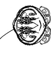 dementia distorted monster multiple_ears multiple_eyes multiple_faces multiple_mouths subvariant:gapealien variant:gapejak // 722x832 // 30.1KB