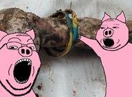 animal arm ear eyelids glasses hand hoholcaust irl_background open_mouth pig pink_skin pointing snout soyjak stubble subvariant:massjak subvariant:wholesome_soyjak ukraine variant:gapejak variant:two_pointing_soyjaks // 1800x1330 // 335.8KB