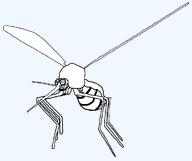 bug full_body glasses mosquito open_mouth valheim variant:soyak // 992x832 // 14.6KB