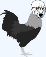 animal animated bbc bloodshot_eyes chicken crying glasses open_mouth rooster series:animaljaks soyjak stubble variant:soyak // 680x815 // 857.9KB