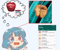anime apple banana food fruit gyate_gyate meta:tranime_coal_with_one_small_picture_of_a24_pinejak_jannies_kys_for_approving_this_but_not_my_gems pineapple pinejak raspberry strawberry tatara_kogasa touhou variant:a24_slowburn_soyjak video_game // 1200x1000 // 720.6KB
