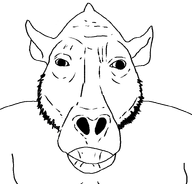 bald nose snout stubble template transparent_background variant:daeodonjak // 803x768 // 14.9KB