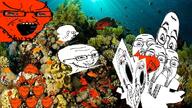 animal bloodshot_eyes carb claw closed_mouth crab cryfish crying ear fish glasses grin hand large_eyebrows multiple_soyjaks open_mouth pointing pointing_at_viewer reef scared sea smile smug soyjak stubble swedecrab variant:bernd variant:fischer variant:gapejak variant:impish_soyak_ears variant:soyak water // 728x410 // 582.1KB