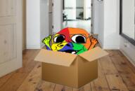 arm baby box colorful deformed glasses hand hands_up irl_background soyjak subvariant:nathaniel variant:gapejak // 1027x694 // 604.1KB