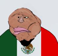 bald beard mexican_flag meximutt muttimex satoko_houjou(namefag) upside_down variant:meximutt // 800x765 // 251.8KB