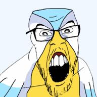 angry beak bird glasses hoenn meta:tagme monster open_mouth pokemon soyjak stubble variant:feraljak // 859x859 // 259.2KB