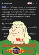 ai_but_not_completely_ai_doe aryan_chad brazil brazilaryan flag:brazil google subvariant:mexiaryan variant:meximutt // 1170x1668 // 312.5KB