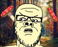 blurred_background clothes fungus glasses hat irl_background mushroom mustache soyjak staring stubble variant:a24_slowburn_soyjak // 512x418 // 411.8KB