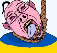 animal bloodshot_eyes crying ear glasses hair hanging oink open_mouth pig rope soyjak stubble tongue ukraine variant:bernd yellow_teeth // 768x719 // 71.4KB