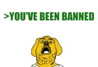 ban clothes dog glasses greentext janny mustache open_mouth soyjak stubble text variant:rangujak yellow_skin // 500x345 // 39.7KB