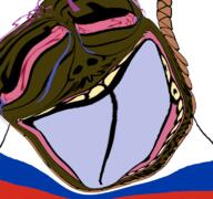 bloodshot_eyes crying dead flag flag:russia glasses hair hanging mustache open_mouth purple_hair rope shitskin soyjak stubble suicide template tongue tranny variant:bernd yellow_teeth // 768x719 // 307.9KB