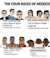 castizo ethnic euro_mestizo european indigenous indio mestizo mexico multiple_soyjaks norteno north race races south subvariant:brazilaryan subvariant:chudjak_soy subvariant:chudplier subvariant:chudson subvariant:perceptive_chud subvariant:sterojak subvariant:steve_chuds subvariant:tongamutt sureno variant:chudjak variant:markiplier_soyjak variant:meximutt variant:soyak // 1080x1232 // 427.2KB