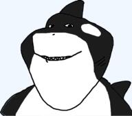animal fin killer_whale orca series:animaljaks smile soyjak variant:impish_soyak_ears whale // 599x531 // 20.5KB