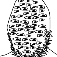 multiple_eyes no_mouth no_nose soyjak stubble trypophobia variant:gapejak // 600x800 // 45.0KB