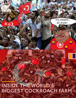 beard brown_skin cockroach cockroach_farm faggot flag:turkiye glasses hanging hindu hinduism hooked_nose irl irl_background jewish_nose kike_nose nigger noose queen_of_spades roach rope shitskin smell soyjak star_of_david tranny turkiye turkroach ugly variant:bernd variant:chudjak variant:cobson variant:gapejak variant:meximutt // 1111x1444 // 1.9MB