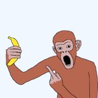 banana brown_fur chimp chimpanzee fur holding_banana holding_object looking_at_you monkey open_mouth pointing pointing_at_object teeth variant:koolson // 1080x1080 // 22.2KB