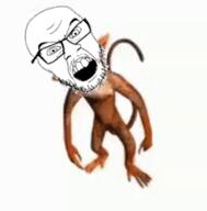 angry animal animated arm closed_eyes closed_mouth ear full_body glasses hand kiss leg monkey mustache open_mouth soyjak stubble tail variant:feraljak // 220x224 // 463.2KB