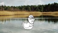 animal closed_mouth duck eyebrows glasses irl_background lake megamind raised_eyebrow smile smug soyjak stubble subvariant:smugquack variant:smugjak // 2776x1571 // 642.3KB