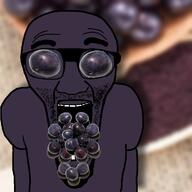 acai food fruit glasses series:fruiterz! series:operation_fruitjak soyjak subvariant:el_perro_loco variant:el_perro_rabioso wrinkles // 1025x1025 // 948.8KB