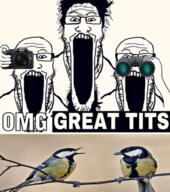 3soyjaks arm binoculars bird camera glasses hair hand holding_camera holding_object irl meme open_mouth pun soyjak stubble text tit variant:markiplier_soyjak // 1080x1223 // 1.6MB