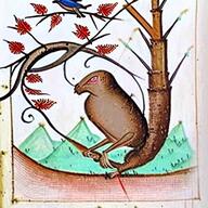 bird hair hanging meta:ai_generated purple_hair stable_diffusion tongue tranny variant:bernd // 512x512 // 462.4KB