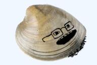 clam glasses objectsoy open_mouth series:animaljaks soyjak stubble variant:soyak // 460x307 // 171.3KB