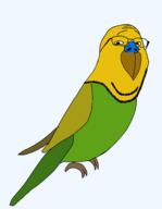 beak glasses parrot series:animaljaks stubble variant:gapejak wing // 1489x1920 // 45.8KB