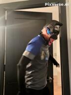 angry autism award bike bloodshot_eyes discord distorted door full_body furry gun holding_object ice_cream irl joe_biden meta:ai_generated nigger open_mouth subvariant:chudjak_front subvariant:jartycuck trend:jartycuck trend:slopjak variant:chudjak // 480x640, 5.3s // 776.8KB