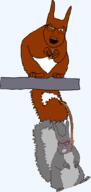 ack animal bloodshot_eyes blue_eyes fur looking_at_you rope squirrel subvariant:feralsquirrel tail tongue variant:feraljak // 507x1069 // 118.7KB