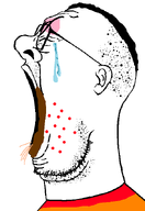 crying faggot flag:lgbt_pride_flag monkeypox poop side_profile variant:reaction_soyjak worms // 456x662 // 37.5KB