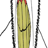 animated antenna clenched_teeth ear glasses red_eyes reddit soyjak stretched_mouth stubble variant:cobson yellow_teeth // 722x2295 // 506.2KB