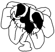 ack dead flower i_was_to_lazy_to_make_a_death_gif_so_take_this_instead plant variant:floweyjak // 340x317 // 11.0KB