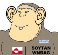 antiswarthy_(namefag) eskimo soytan_will_never_be_a_gem subvariant:chinkaryan subvariant:chinkmutt variant:meximutt // 888x842 // 58.7KB