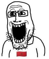 flag flag:morocco glasses open_mouth soyjak stubble teeth variant:market_player // 241x288 // 40.4KB