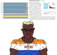 africa afrikaner apartheid asian black_skin boer flag:south_africa_(1928) genetics history indian khoisan south_africa southeast_asia subvariant:muscular_chud variant:chudjak // 3718x3575 // 1.7MB