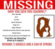 missing poster subvariant:feralsquirrel text trend:squirreljakking variant:feraljak // 1100x990 // 221.8KB