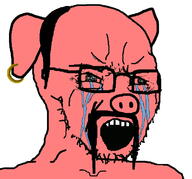 animal crying ear earring fu_manchu_(mustache) glasses hair hohol mustache open_mouth pig pigger pink_skin soyjak stubble variant:soyak // 728x678 // 241.6KB